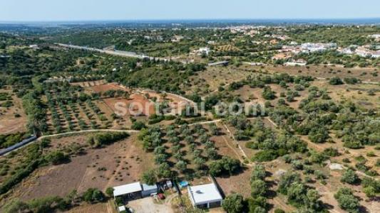 Annonce Vente Terrain Loule