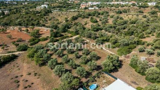 Acheter Terrain Loule