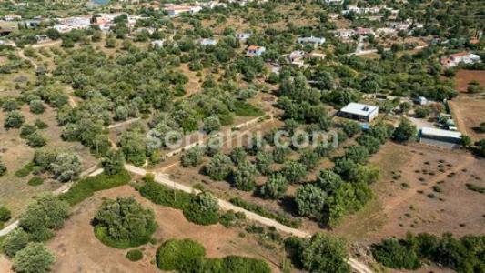 Acheter Terrain Loule r�gion FARO