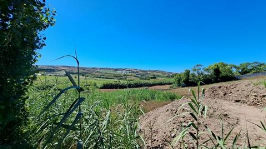 Acheter Terrain 580 m2 Lourinha
