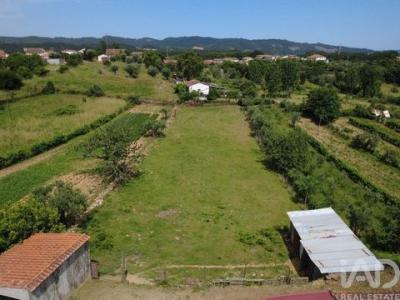 Annonce Vente Terrain Vila-nova-de-poiares