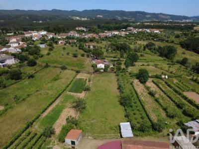 Acheter Terrain 1160 m2 Vila-nova-de-poiares