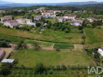 Acheter Terrain Vila-nova-de-poiares r�gion COIMBRA