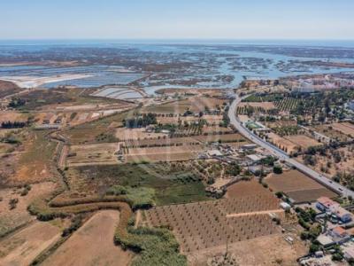Vente Maison Faro FARO-(SA�-E-SA�O-PEDRO) 08 au Portugal