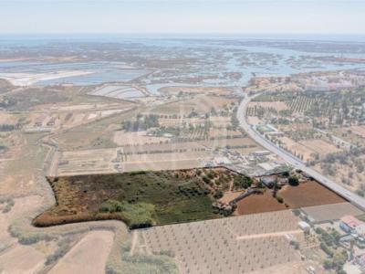 Annonce Vente Maison Faro