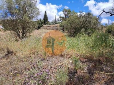 Acheter Terrain Tavira r�gion FARO