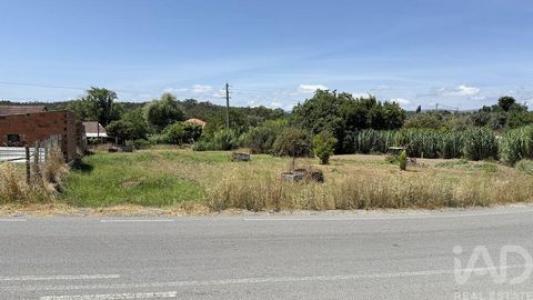 Annonce Vente Terrain Santarem