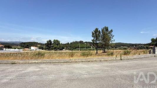 Acheter Terrain 876 m2 Santarem