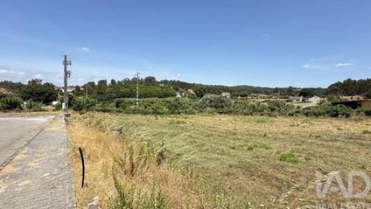 Acheter Terrain Santarem r�gion SANTAREM
