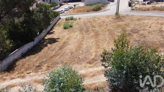Annonce Vente Terrain Santarem