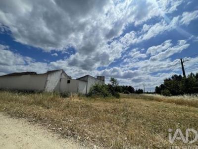 Acheter Maison Almeirim r�gion SANTAREM