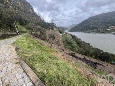 Acheter Terrain 5170 m2 Penafiel