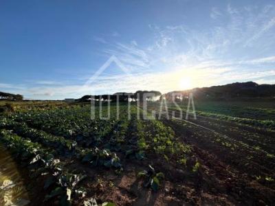 Annonce Vente Terrain Sintra