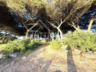 Acheter Terrain 2960 m2 Sintra