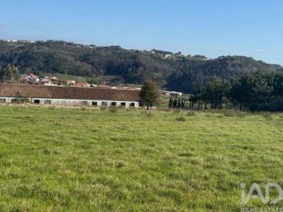 Acheter Terrain Alcobaca r�gion LEIRIA