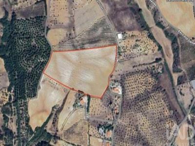 Vente Terrain Santarem ABITUREIRAS 14 au Portugal