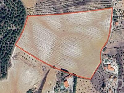 Acheter Terrain 32767 m2 Santarem