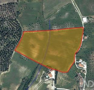 Acheter Terrain Santarem r�gion SANTAREM