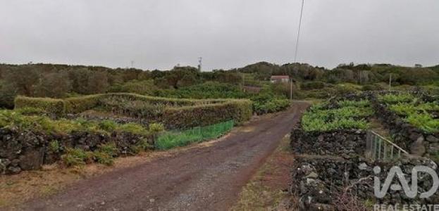 Annonce Vente Terrain Lajes-do-pico
