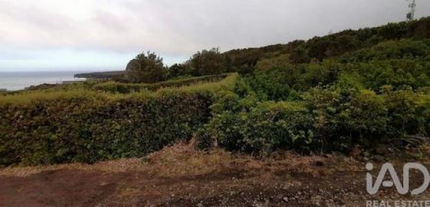 Acheter Terrain Lajes-do-pico r�gion ACORES