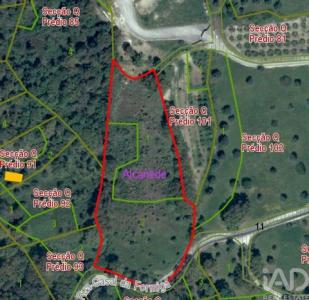 Annonce Vente Terrain Santarem