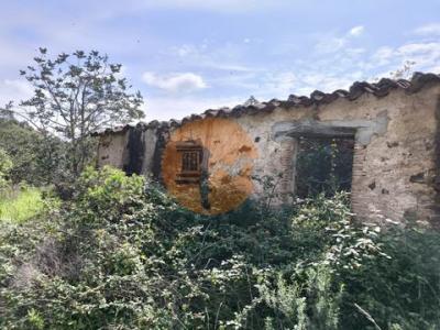 Annonce Vente Terrain Tavira