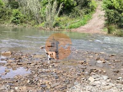 Acheter Terrain 28 m2 Tavira