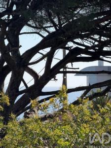 Annonce Vente Appartement Cascais