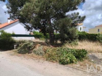 Annonce Vente Terrain Setubal