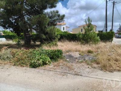 Acheter Terrain Setubal r�gion SETUBAL
