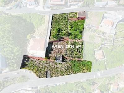 Vente Terrain Camara-de-lobos CA�MARA-DE-LOBOS 30 au Portugal
