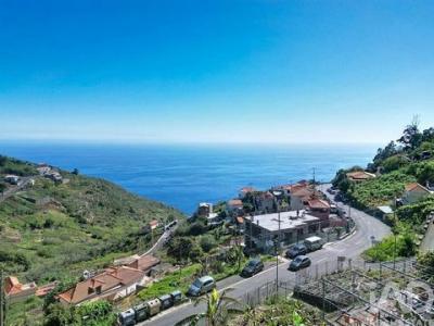 Annonce Vente Terrain Camara-de-lobos