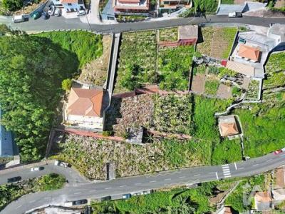 Acheter Terrain 2935 m2 Camara-de-lobos