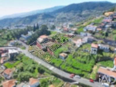 Acheter Terrain Camara-de-lobos r�gion MADEIRA