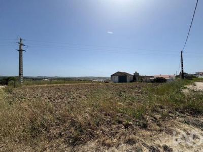 Annonce Vente Terrain Torres-vedras