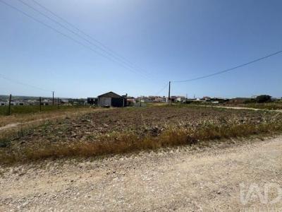 Acheter Terrain Torres-vedras r�gion LISBOA