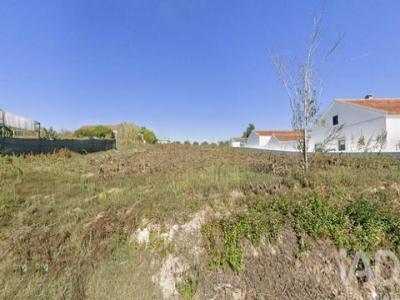 Annonce Vente Terrain Caldas-da-rainha