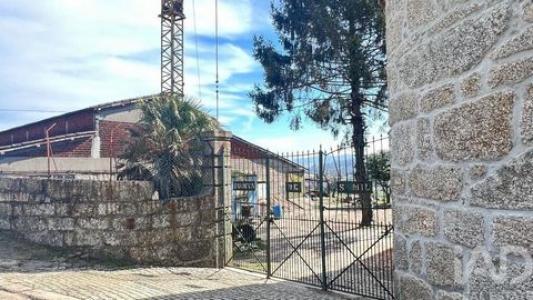 Annonce Vente Terrain Paredes