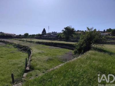 Acheter Terrain Paredes r�gion AVEIRO
