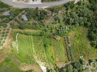 Annonce Vente Terrain Porto-de-mos