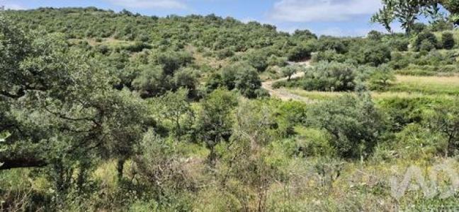 Acheter Terrain Porto-de-mos r�gion LEIRIA