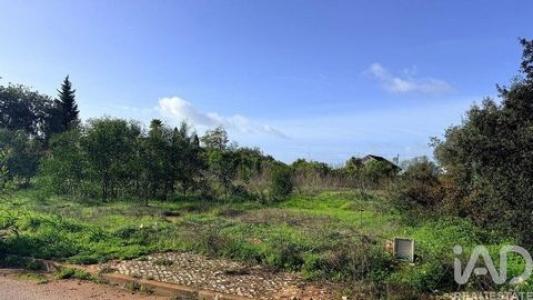 Acheter Terrain 1481 m2 Silves