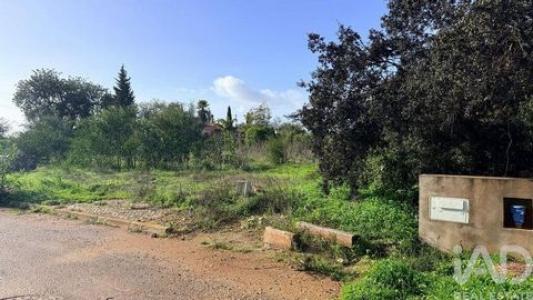 Acheter Terrain Silves r�gion FARO