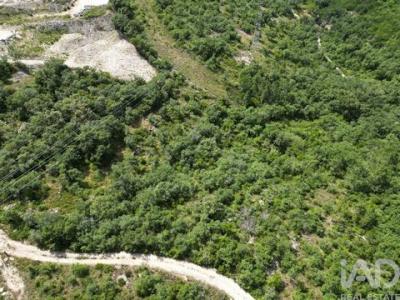 Vente Terrain Porto-de-mos ALQUEIDA�O-DA-SERRA 10 au Portugal