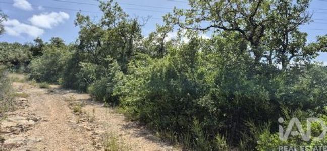 Acheter Terrain 2400 m2 Porto-de-mos