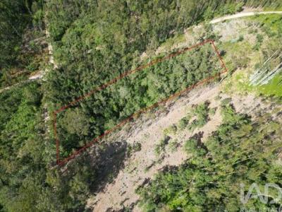 Annonce Vente Terrain Porto-de-mos