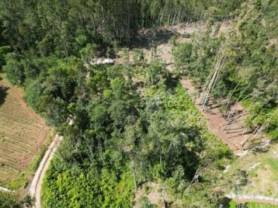 Vente Terrain Porto-de-mos ALQUEIDA�O-DA-SERRA 10 au Portugal