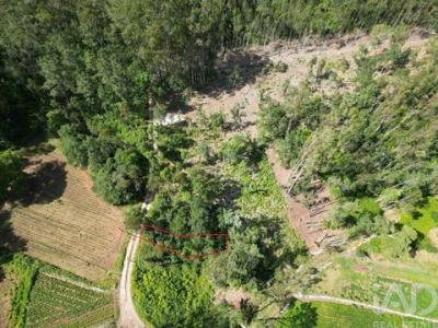 Annonce Vente Terrain Porto-de-mos