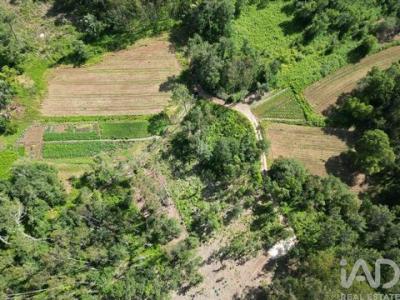 Acheter Terrain 120 m2 Porto-de-mos