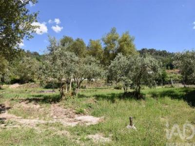 Acheter Terrain Penela r�gion COIMBRA